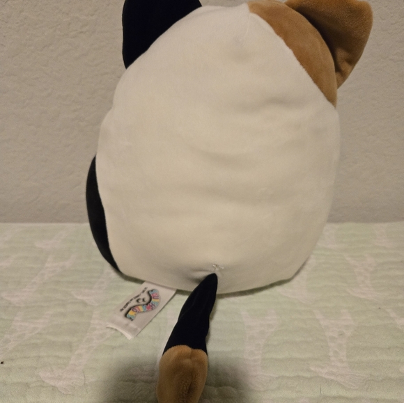Squishmallow Cameron Cam the Calico Cat plush stuffed toy. - Picture 3 of 5